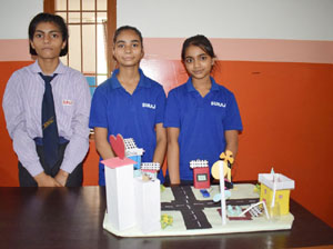 Science Project Pataudi 2023 13